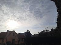 Olešná