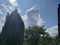 Olešná