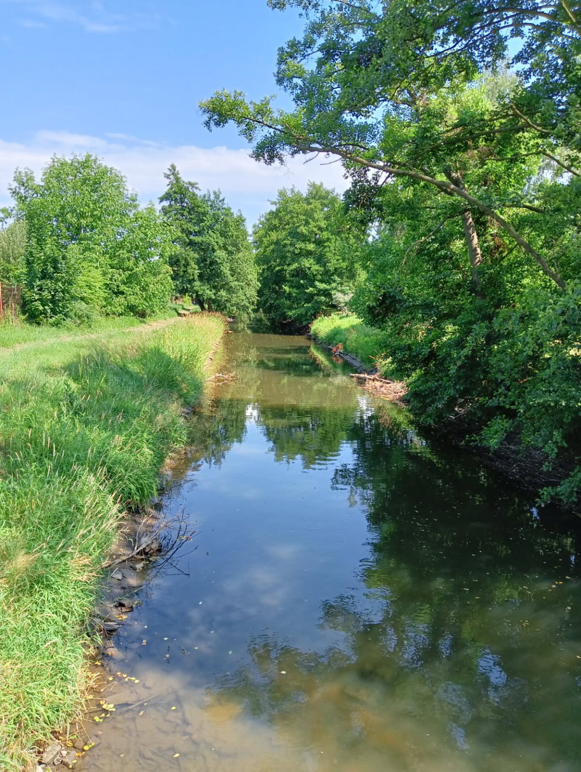 Olomouc-Mlýnský potok