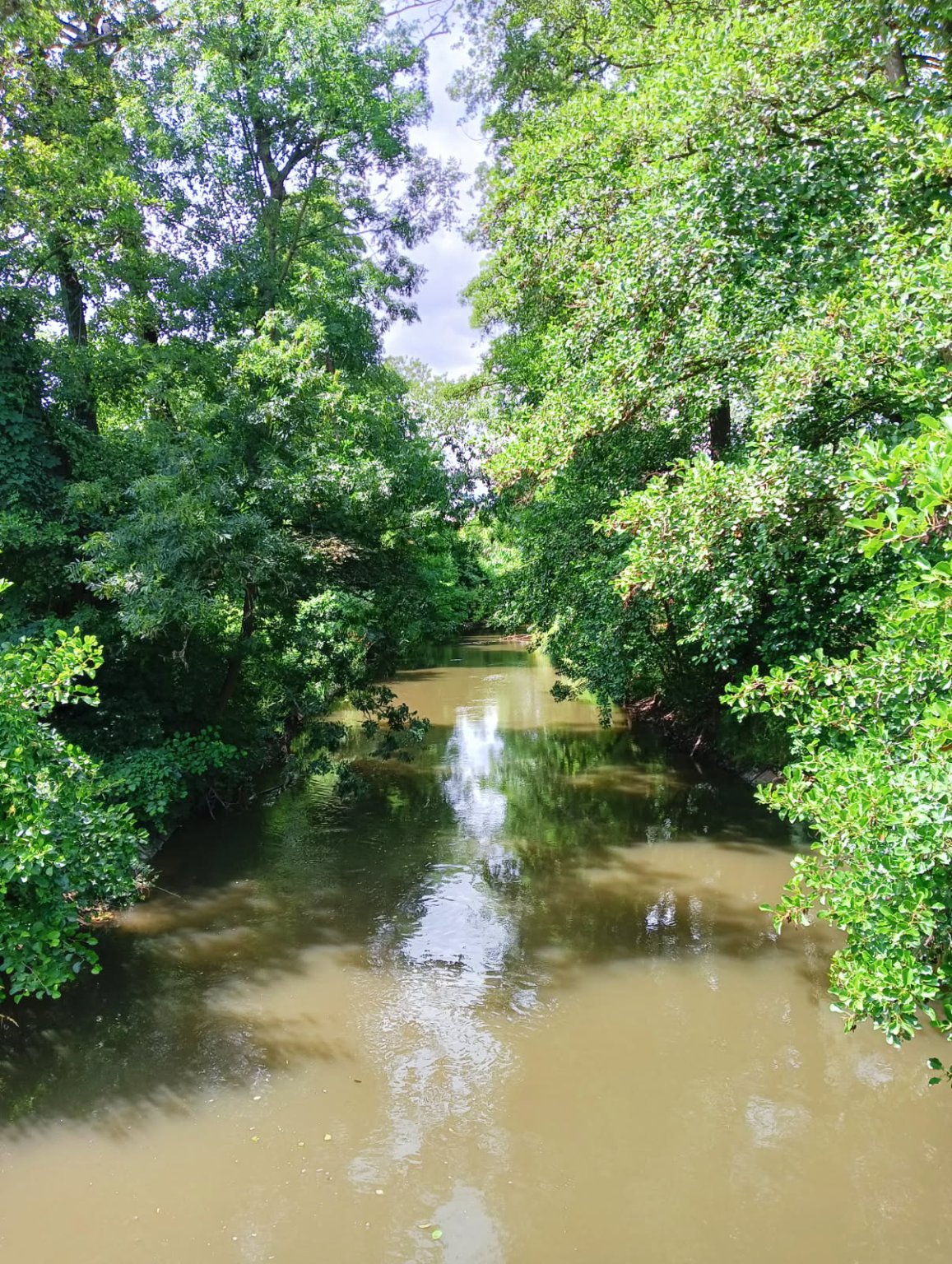 Olomouc-Mlýnský potok