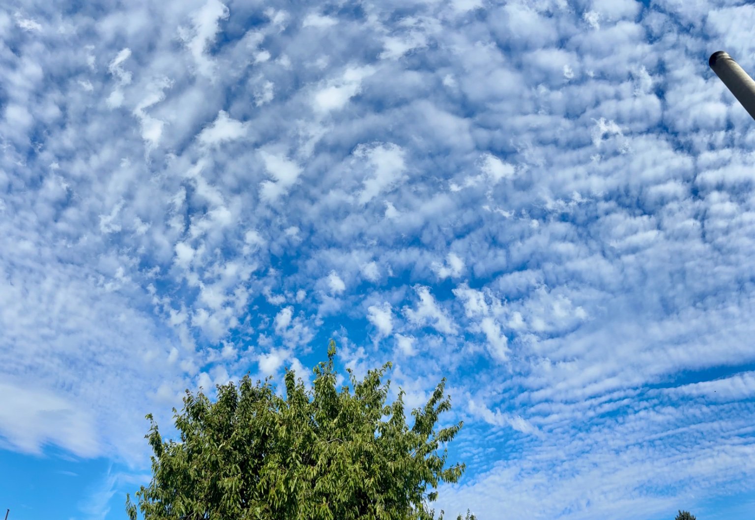 Hrnčiarovce nad Parnou