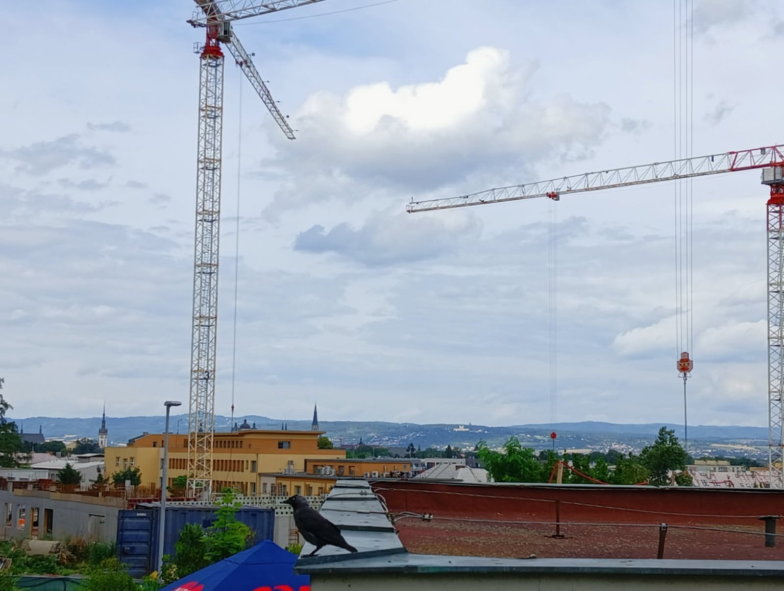 Olomouc-I.P. Pavlova