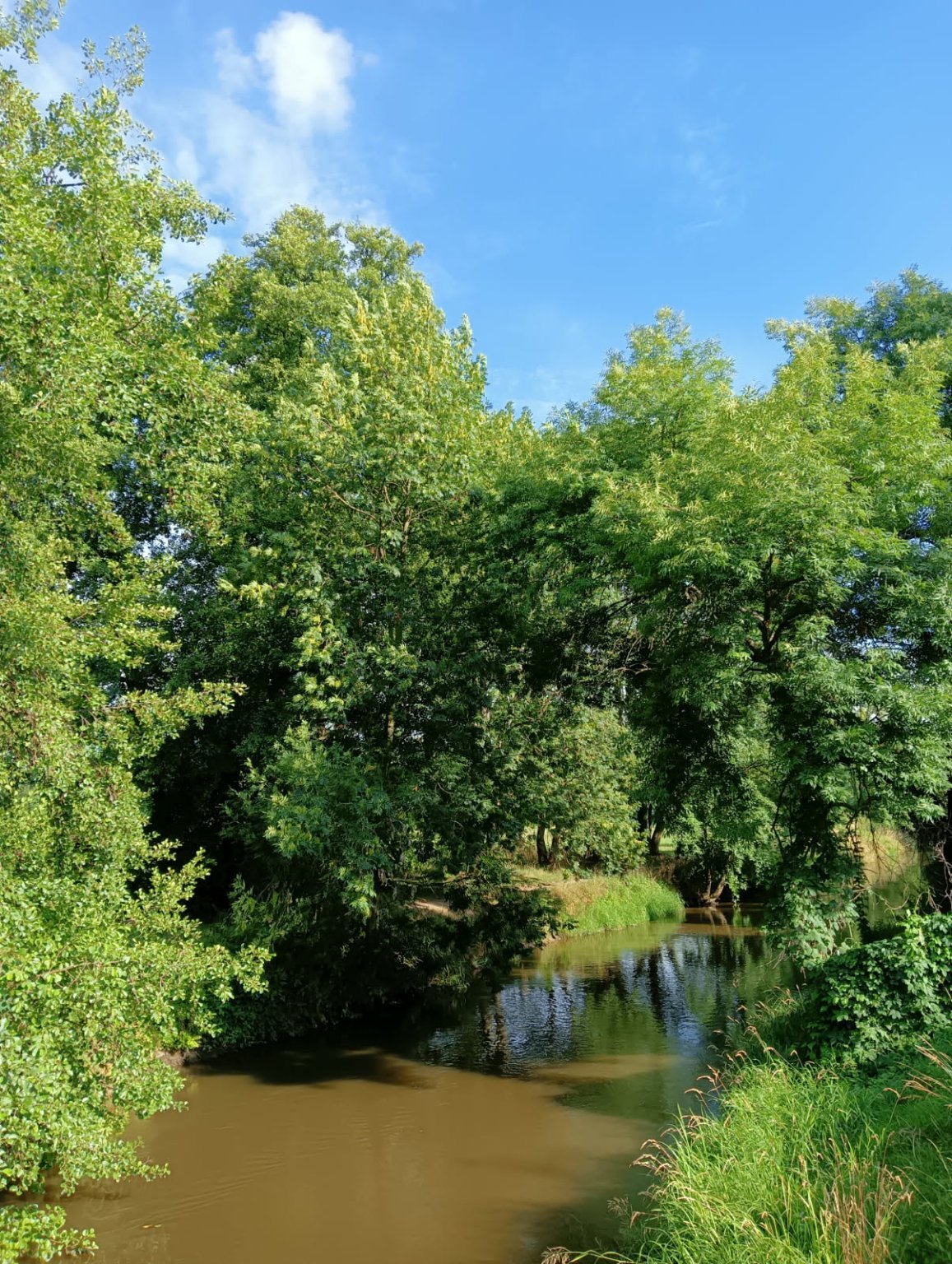 Olomouc-Mlýnský potok