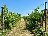 Hrnčiarovce nad Parnou