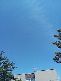 Kopřivnice, Vlčovice