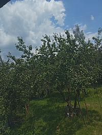 Kopřivnice, Vlčovice