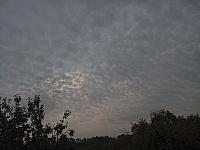 Kopřivnice, Vlčovice