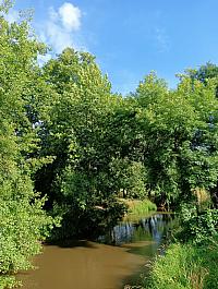 Olomouc-Mlýnský potok