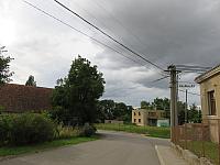 Třibřichy