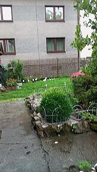 Kopřivnice, Vlčovice