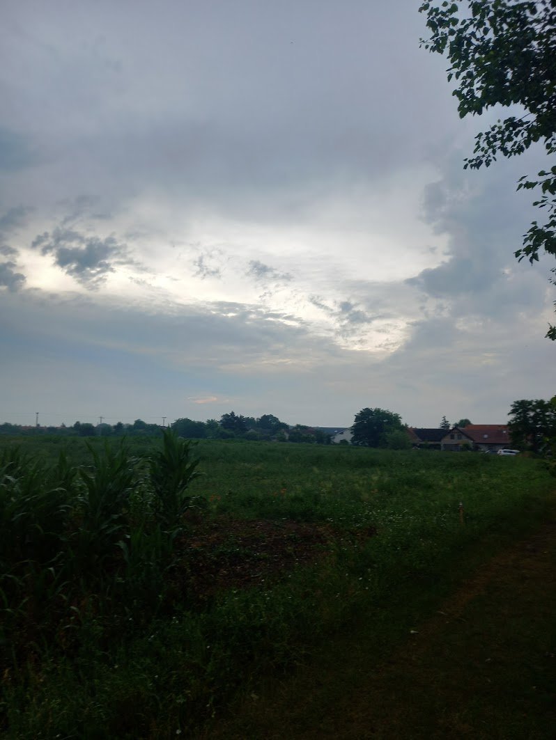 Svatý Mikuláš