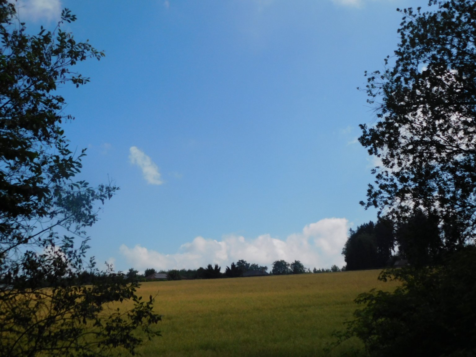 Němčice Zhoř