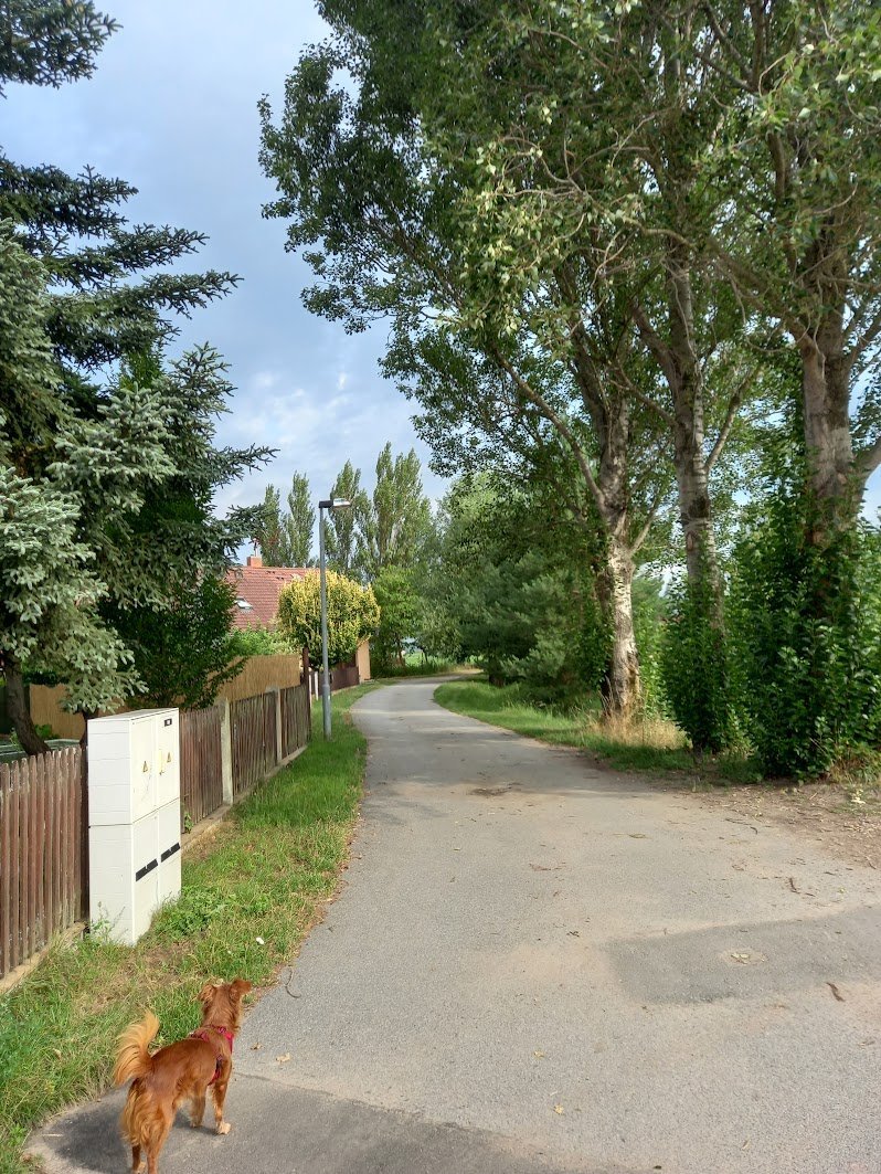 Svatý Mikuláš