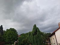 Olešná