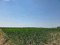 Odrovice