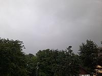 Olešná