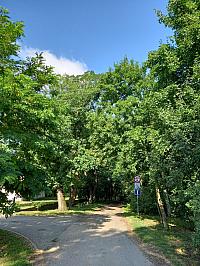 Svatý Mikuláš
