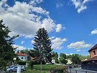 Olešná