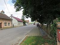 Třibřichy