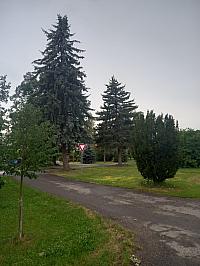 Svatý Mikuláš