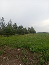 Svatý Mikuláš
