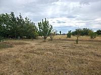 Odrovice