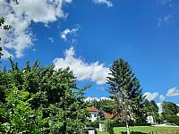 Olešná