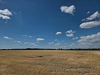 Odrovice