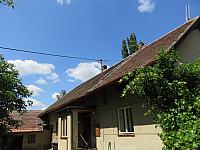 Třibřichy