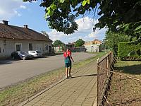 Třibřichy