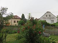 Třibřichy