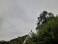 Fotografie
