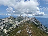Rodica