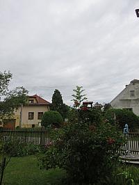 Třibřichy