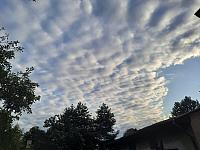 image_1025004.jpg