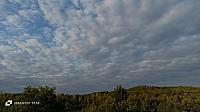 image_1025006.jpg