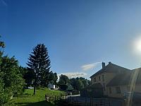 Olešná
