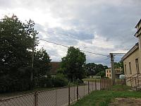 Třibřichy