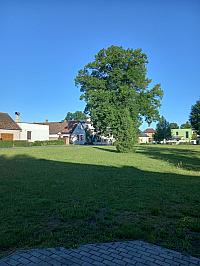 Svatý Mikuláš