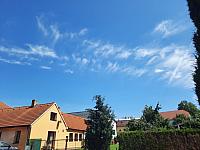 Olešná