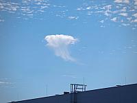 image_1026095.jpg