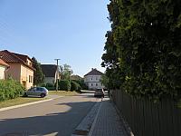 Třibřichy