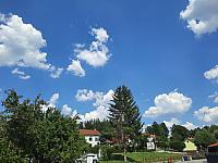 Olešná