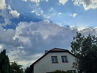Olešná