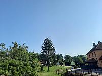 Olešná