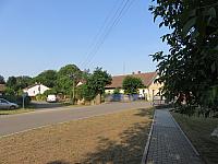 Třibřichy