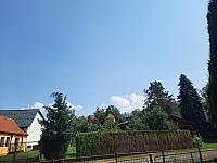 Olešná