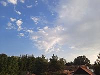 Olešná