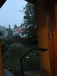 Třibřichy
