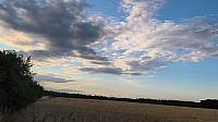 video_1025337.jpg